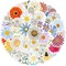 Cute Daisy Stickers 55PCS Beautiful Plants Waterproof Flower Stickers for Water Bottles Laptop Luggage Journaling, Party Rewards Waterproof Vinyl Decals for Kids Teens Adults (Colourful)